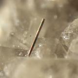 Pyrite
Sugar Grove, Pendleton County, West Virginia, USA
Pyrite bar 0.5 mm long. (Author: Pete Richards)