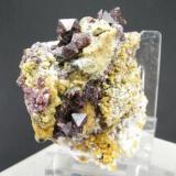 Espinela Violeta + Clinohumita
Sierra de Mijas - Málaga - Andalucía - España
7 x 5.6 cm  - Cristales de  0.7 cm (Autor: Diego Navarro)