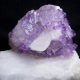 Fluorite/ celestite. Locality: Melchor Muzquiz, Coahuila de Zaragoza, México size: 6.6cm x 7cm x 5.2cm (Author: Luis Domínguez)