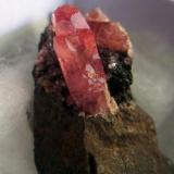 Rhodochrosite. Locality: Sta. Eulalia, Chihuahua, México size: 4.7cm x 3cm x 2cm crystal size: 1.5cm x 0.6cm (Author: Luis Domínguez)