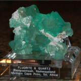 Fluorite on Quartz. From Riemvasmaak, S. Africa. Measures 9 x 6 x 4 cm and weighs 150 grams (Author: VRigatti)
