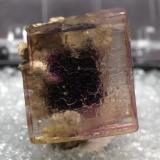 Fluorite
from Auglaize Quarry, Paulding County, Ohio, USA
Size:2.2cm X 1.8cm X 2.0cm (Author: pro_duo)