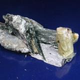 Fluorapatite crystals in actinolite schist.  Silver Hill quarry, Brecknock Township, Lancaster Co.  The main crystal is 3 cm. (Author: John S. White)