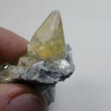Calcite, Shippensburg quarry, Cumberland Co.  The crystal is 2.5 cm tall. (Author: John S. White)