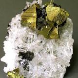 Chalcopyrite on quartz, Animon Mine, Peru. (Author: Samuel)