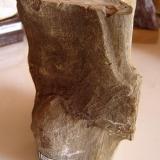 Madera petrificada (17x8x8 cm). Formação Pedra de Fogo, Tocantins-Brasil (Autor: Anisio Claudio)