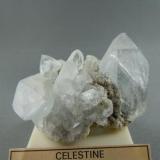 Celestite
Portage, Ohio
5.3cm x 4.1cm (Author: rweaver)