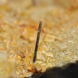 RutiloCanteras de Mármol, Macael, Comarca Valle del Almanzora, Almería, Andalucía, EspañaTamaño: cristal de 10 mm (Autor: Juan Miguel)