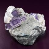 Fluorite with Calcite
Stoneco Auglaize quarry, Paulding Co., Ohio
Specimen size 5 x 6 cm. (Author: am mizunaka)