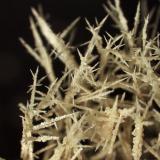 Sulfur, dendritic
Shale fire
Huron River near Milan, Ohio
Field of view is 3.6 mm wide. (Author: Pete Richards)