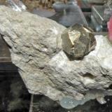 Pyrite. Ambasaguas Quarry. La Rioja. Spain. 7 cm (Author: nimfiara)