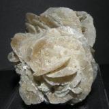 Gypsum. Villalvilla. Madrid. Spain. 5 cm (Author: nimfiara)