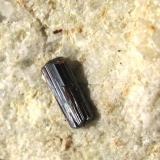 Rutilo (Biterminado).
Laietto.
Condove.
Valle de Sussa.
Piamonte.
Italia.
Tamaño de la pieza: 4.5x3 cm.
Tamaño del cristal: 6 mm. (Autor: Jose Luis Otero)