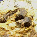 Goethita - hematites pseudomórfica de pirita sobre cuarzo.Ontxilota area, Monte Gorramendi, Baztán, Comarca Baztán, Chartered Community of Navarre (Navarre), SpainEncuadre 3 x 2 cm. (Autor: Frederic Varela)