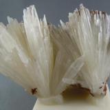 Aragonite
Bloomington, Indiana
10.0cm x 8.0cm (Author: rweaver)