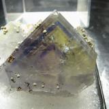 Fluorite with Pyrite
from El Hammam, Meknes Prefecture,Morocco
size:2.8cm X4.4cm X 3.3cm (Author: pro_duo)