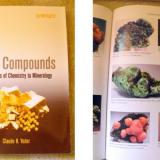 An introduction to ionic compouds for both mineralogists and chemists (Author: Samuel)