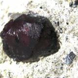 Granate Almandino.
Crater del Hoyazo.
Níjar.
Almeria.
Tamaño de la pieza: 4x3 cm.
Tamaño del cristal: 7 mm. (Autor: Jose Luis Otero)