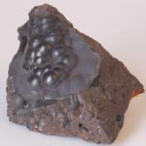 Goethita botroidal - La Arboleda, Vizcaya, País Vasco, España
Medidas: 5x5x4 cms
Adquirida en la Mesa de intercambio de Girona 2010 (Autor: Joan Martinez Bruguera)