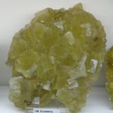 Fluorita,Mina Matagalls (Minas de Sant Marçal), Sant Marçal, Viladrau, Comarca Osona, Gerona / Girona, Cataluña / Catalunya, España150 x 130 mm. (Autor: Jesus Franquesa Baucells)