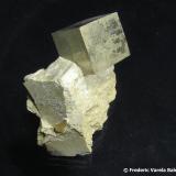 Pirita.
Navajún, La Rioja, España. 
Cristal 2,1 x 1,9 x 1,8 cm. (Autor: Frederic Varela)