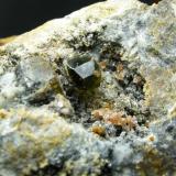 Clinohumita + Espinela + Granate
Sierra de Mijas - Málaga - Andalucía - España
Detalle - Cristales de Granate de entre 1 y 1.3 cm (Autor: Diego Navarro)