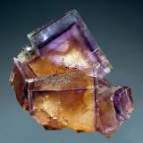 Minerva #1 Mine.  4.5 x 5.5 cm (Author: crosstimber)