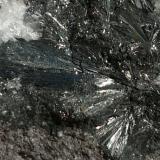 PirolusitaCala Mines, Cala, Comarca Sierra de Huelva, Huelva, Andalusia, Spain7x7 cm (Autor: nerofis2)