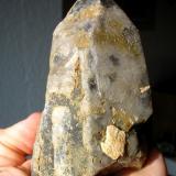 Smoky quartz crystal from Windorf, Bavaria. The crystal is 12 x 5 cm. (Author: Andreas Gerstenberg)