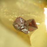 Cuprite aggregate (2 mm) on baryte from Clara mine, Oberwolfach, Black Forest. (Author: Andreas Gerstenberg)