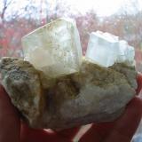 Calcite xls up to 5 cm on marble matrix from Oberscheibe lime quarry near Annaberg, Saxony. (Author: Andreas Gerstenberg)