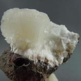 Stilbite on Mesolite
Goble Quarry, Goble, Columbia County, Oregon, USA
6.5 cm. x 6.4 cm.
Photo: Bob Weaver (Author: Jordi Fabre)