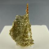 Gold
Santiam Mine, North Santiam Dist, Marion Co., Oregon, USA
1.4 cm x 2.9 cm (Author: rweaver)