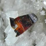 Anatasa
Macael, Almería, Andalucía, España.
Cristal 1 mm. (Autor: Juan Miguel)