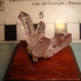 Cuarzo Amatista, de Las Vigas, Veracruz, México. Los cristales miden en promedio 2.2x 0,6cm, el mayor de los cristales mide 2.5x 0,6cm. (Autor: Oxyumaurus)