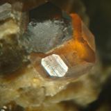 Cuarzo ahumado con granate . Acercamiento del cristal de cuarzo sobre el un cristal de granate, dimensiones: cuarzo 0,5 x 0,2 cm y granate 0,3 x 0,3 cm. (Autor: Oxyumaurus)