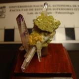 Amatista
Las Vigas, Veracruz, México. 
Dimensiones 3 x 1,3 cm
El Cristal con fantasma mide 1,4 x 0,3 cm. 
Matriz tipica de Las Vigas con Epidota. (Autor: Oxyumaurus)