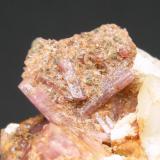 Rubelita + Cuarzo
Puerto Mancilla - Estepona - Málaga - Andalucía - España
4.6 x 3.2 cm - Detalle -  Cristales de entre 0.9 y 0.6 cm (Autor: Diego Navarro)