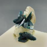 Veszelyite on Quartz
Black Pine Mine,
Phillipsburg, Montana
2.2cm x 3.0cm (Author: rweaver)