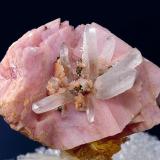 Rhodochrosite and Quartz
Butte District, Silver Bow Co., Montana
Specimen size 2.2 x 2 cm. (Author: am mizunaka)