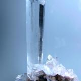 Gypsum
Naica, Mun. de Saucillo, Chihuahua, Mexico
120 mm x 72 mm. Main crystal: 98 mm tall, 20 mm wide (Author: Carles Millan)