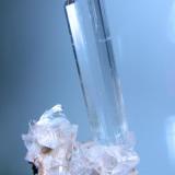 Gypsum
Naica, Mun. de Saucillo, Chihuahua, Mexico
120 mm x 72 mm. Main crystal: 98 mm tall, 20 mm wide (Author: Carles Millan)