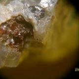 Almandino
Mont-ras, Urbanización &rsquo;&rsquo;La Ciutadella&rsquo;&rsquo;, Bajo Ampurdán, Gerona, Cataluña, España.
Cristal:3x4mm (Autor: marcel)