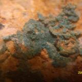 Conicalcita con Azurita.
Mina La Encontrada, Molvizar, Granada.
1cm. (Autor: marcel)