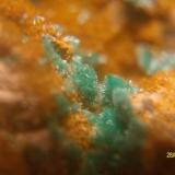 Malaquita? Brochantita?
Mina infern, Palamós, Bajo Ampurdán, Gerona, Cataluña, España.
Pieza 3x3cm
Cristales de 4mm (Autor: marcel)