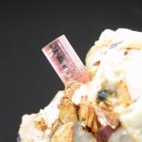 Rubelita
Puerto Mancilla - Estepona - Málaga - Andalucía - España
Detalle - cristal de 1 cm (Autor: Diego Navarro)
