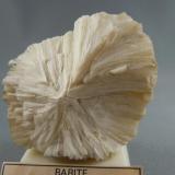 Barite
New England
North Dakota
5.5 cm. x 5.7 cm.
Photo: Bob Weaver (Author: Jordi Fabre)