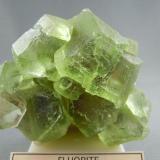 Fluorite
Lockport, New York
7.0cm x 5.8cm (Author: rweaver)