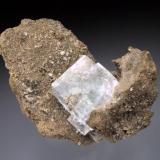 Fluorite (1.5 cm on edge) on Dolomite, Emmons Quarry, Walworth, New York. (Author: Jesse Fisher)