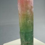 Tourmaline
Haddam Neck
Middlesex Co., Connecticut
1.5cm x 5.5cm (Author: rweaver)